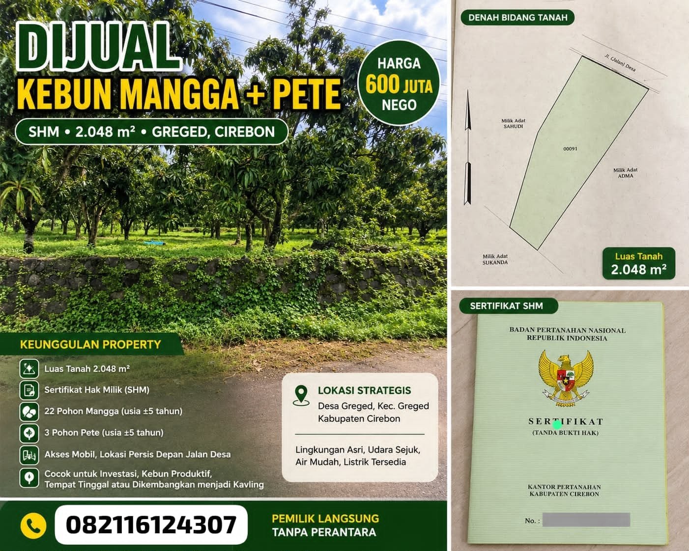Dijual Kebun Mangga & Pete
