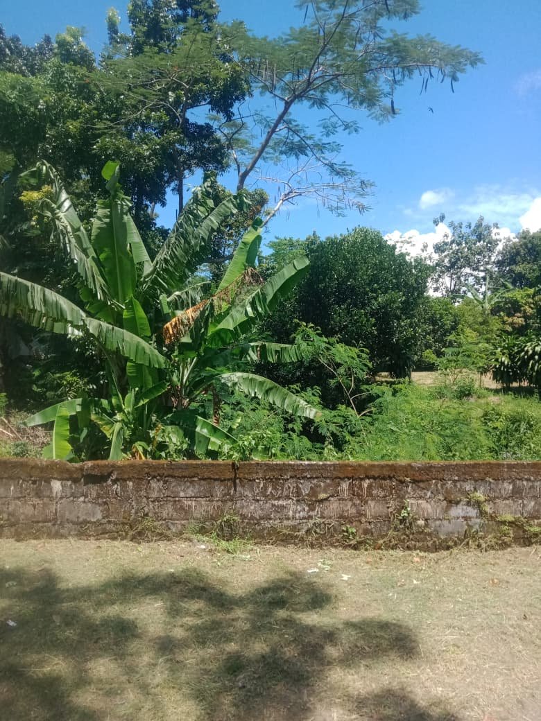 Dijual Lahan